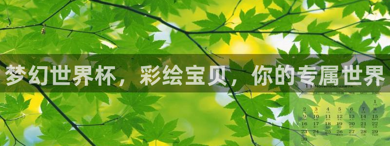 2026年男足世界杯：梦幻世界杯，彩绘宝贝，你的专属世界