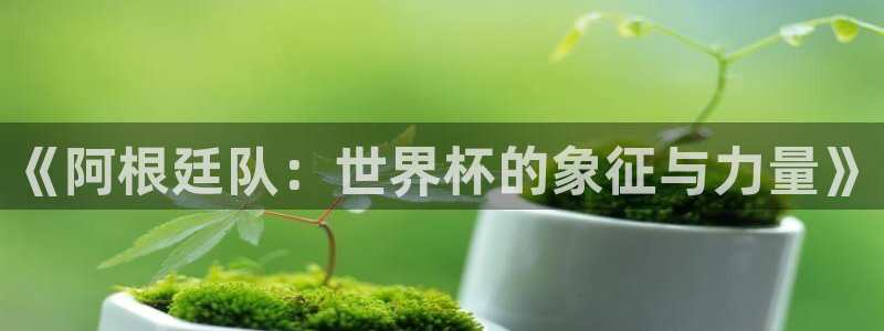 2026男足世界杯赛程：《阿根廷队：世界杯的象征与力量》