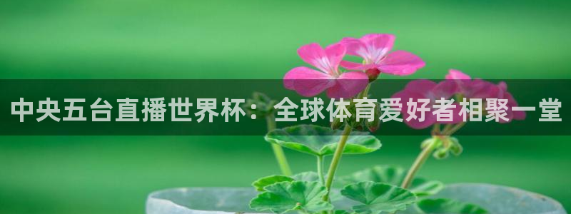免费足球比赛直播高清：中央五台直播世界杯：全球体育爱好者相聚一堂