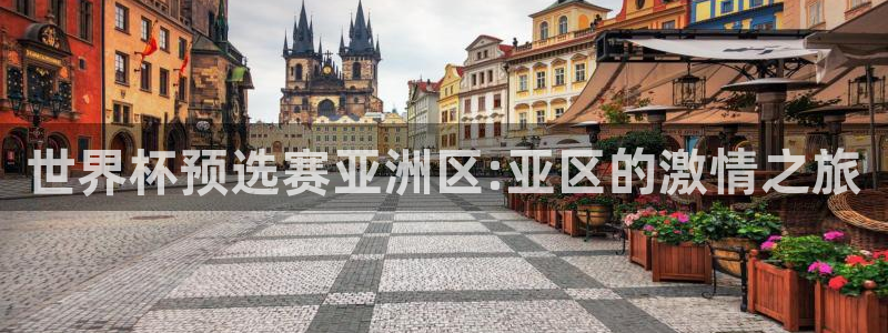 世界杯在线直播：世界杯预选赛亚洲区:亚区的激情之旅