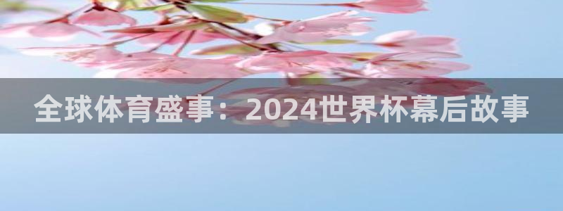 看世界杯：全球体育盛事：2024世界杯幕后故事