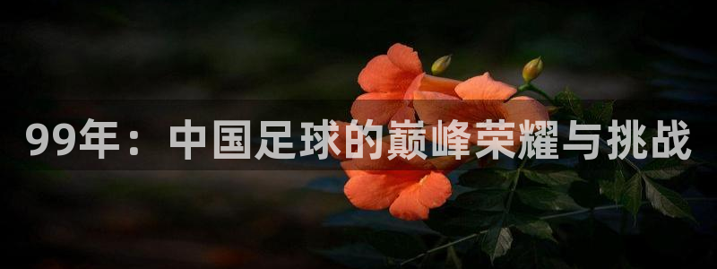 世界杯在线直播入口：99年：中国足球的巅峰荣耀与挑战