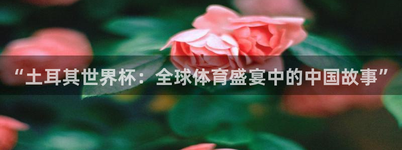 世界杯直播网站：“土耳其世界杯：全球体育盛宴中的中国故事”