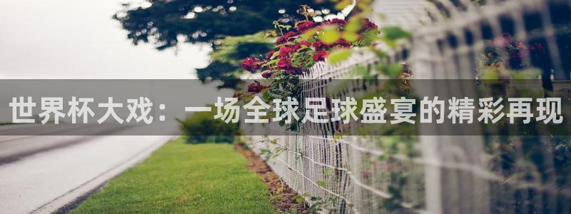 预选赛世界杯：世界杯大戏：一场全球足球盛宴的精彩再现