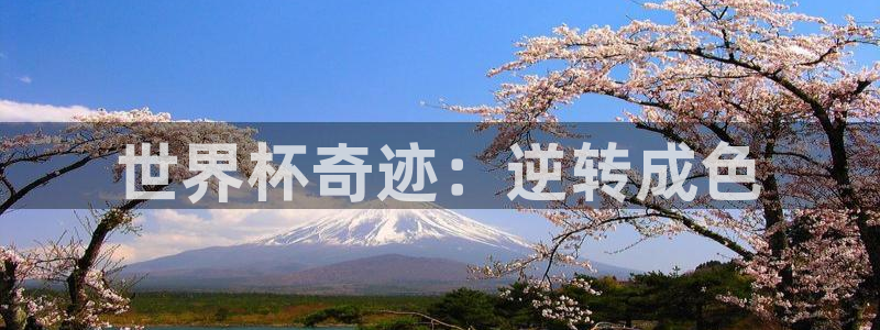 足球世预赛：世界杯奇迹：逆转成色