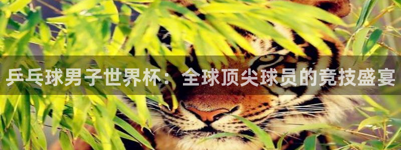 足球世界杯赛程：乒乓球男子世界杯：全球顶尖球员的竞技盛宴