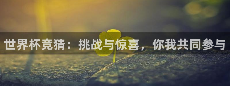 世界杯预选赛赛程时间表：世界杯竞猜：挑战与惊喜，你我共同参与