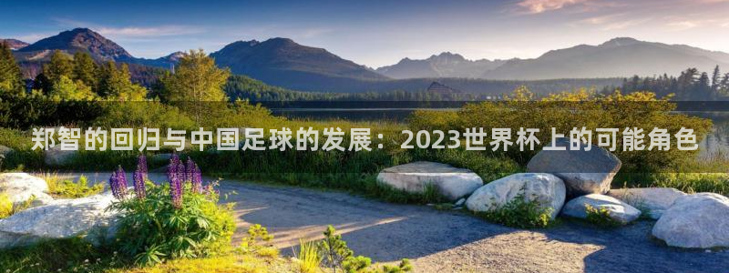欧联杯直播：郑智的回归与中国足球的发展：2023世界杯上的可能角色