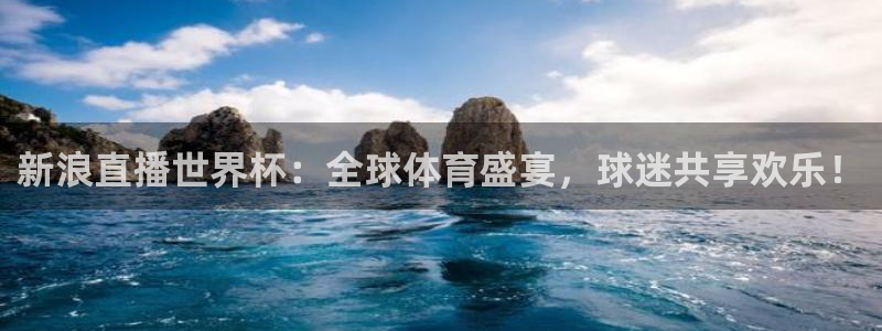 世界杯足球赛：新浪直播世界杯：全球体育盛宴，球迷共享欢乐！