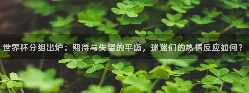 2026世界杯中国队：世界杯分组出炉：期待与失望的平衡，球迷们的热情反应如何？