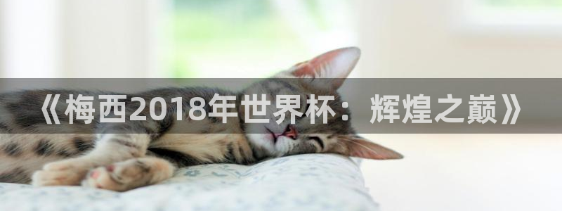 2026年世界杯对阵图：《梅西2018年世界杯：辉煌之巅》