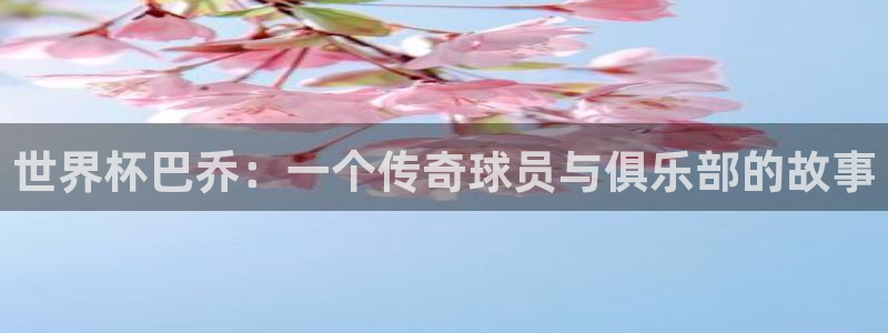 世界杯比赛时间：世界杯巴乔：一个传奇球员与俱乐部的故事