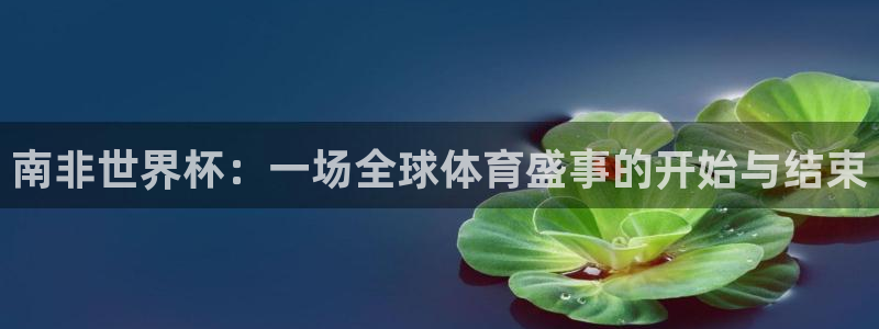 世界杯在线直播：南非世界杯：一场全球体育盛事的开始与结束