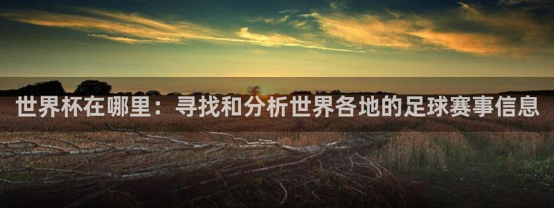 2026世界杯欧洲预选赛赛程表：世界杯在哪里：寻找和分析世界各地的足球赛事信息